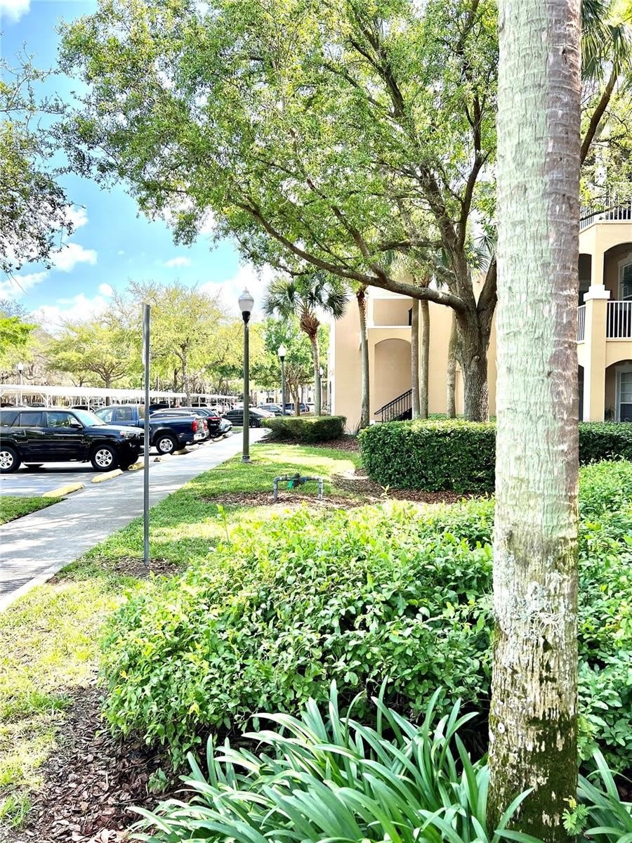 6214 STEVENSON Drive – photo 2