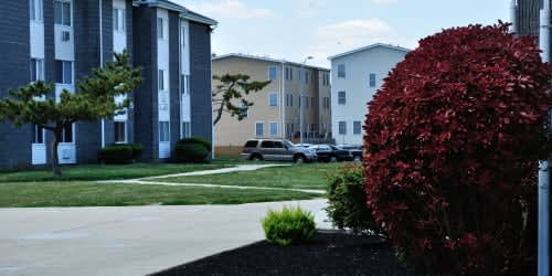 Carolina Village – photo 5