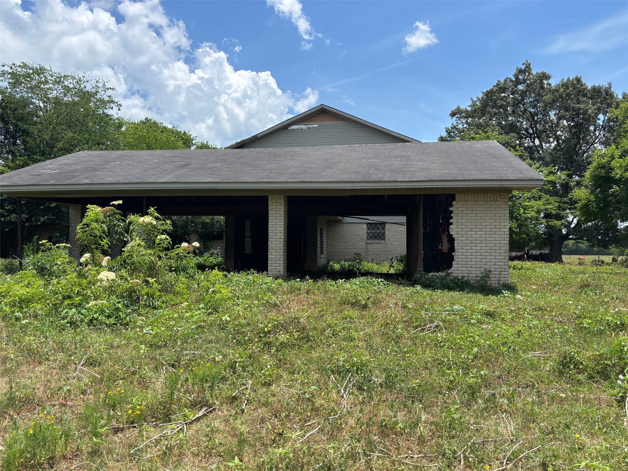 3834 Fenley Flat Road – photo 2