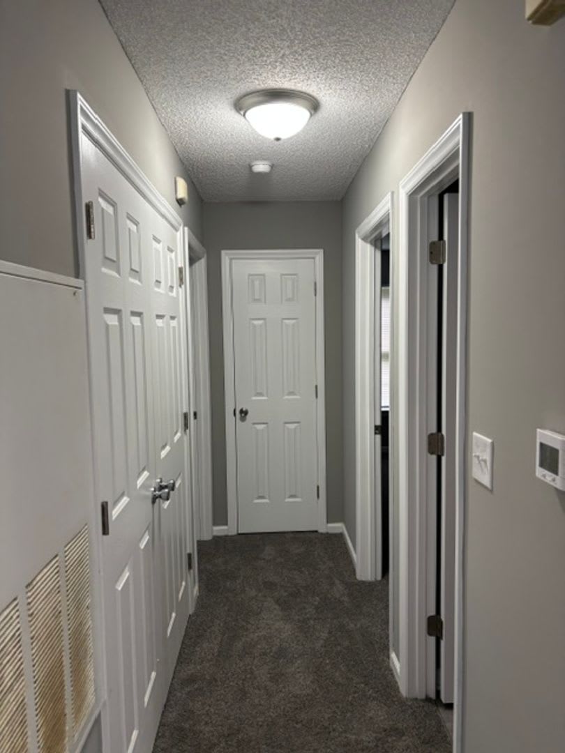1255 – photo 4