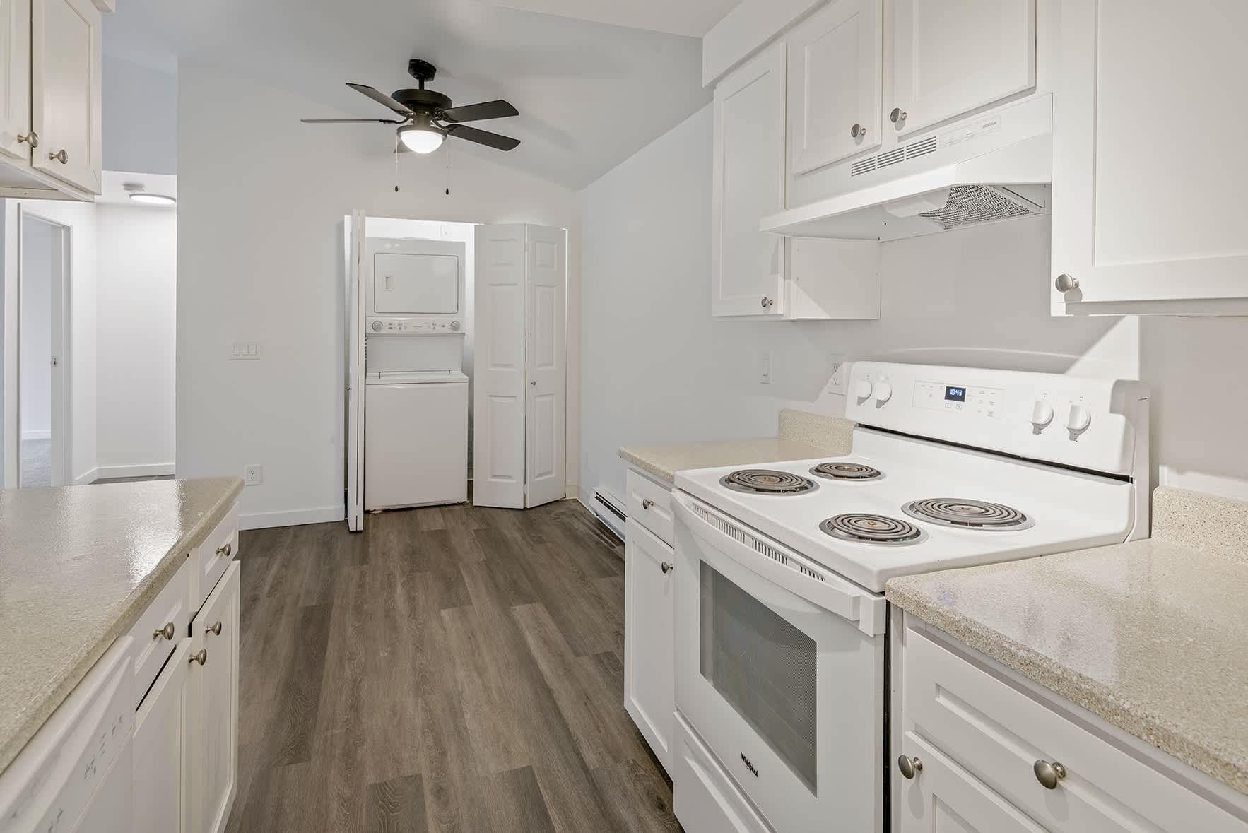 Alvista 240 – photo 4