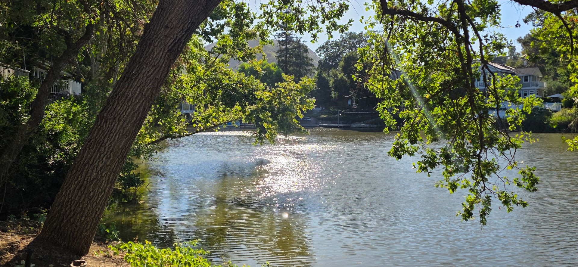 Lake Front Living – photo 4