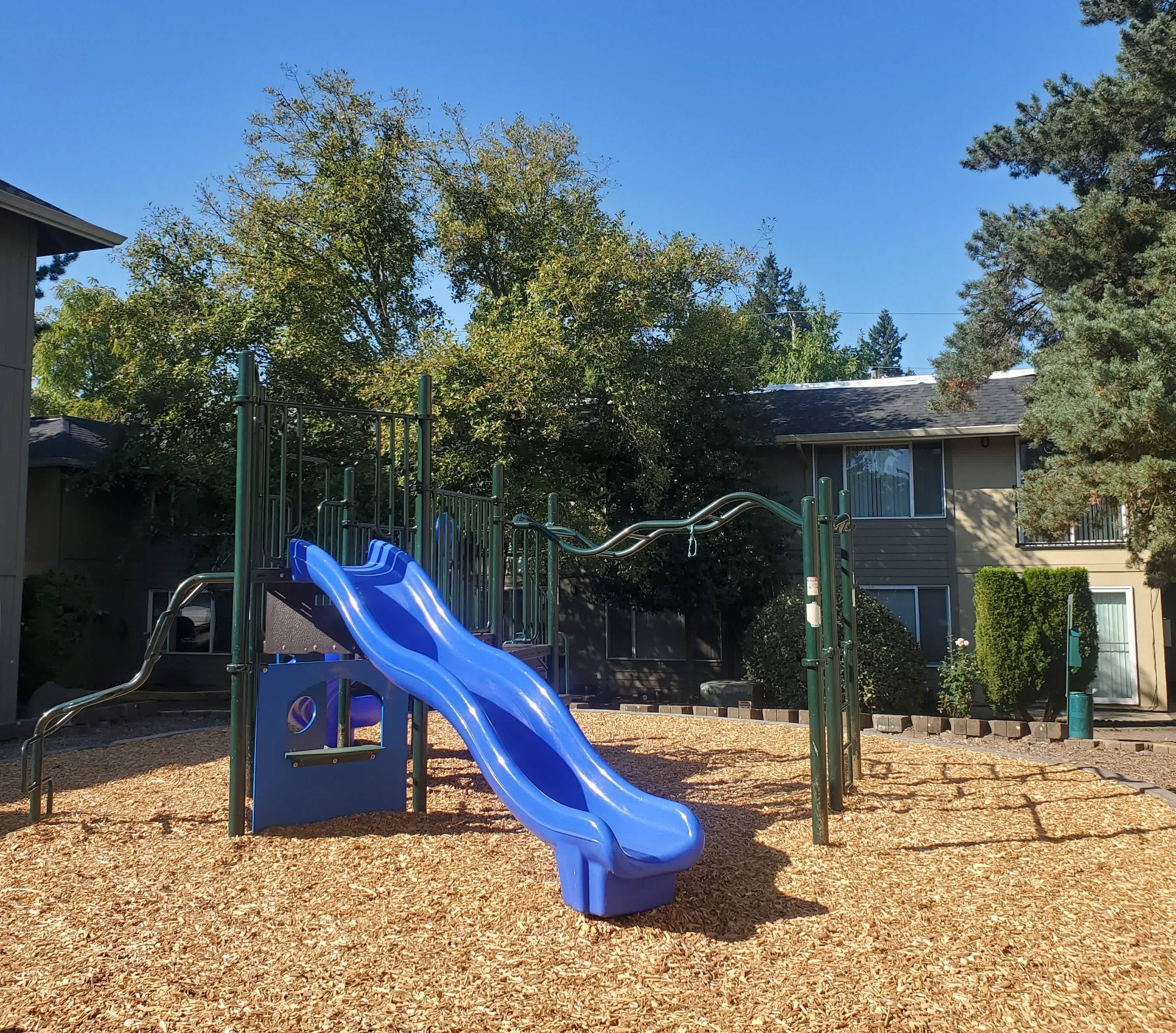Halsey Summit – photo 5
