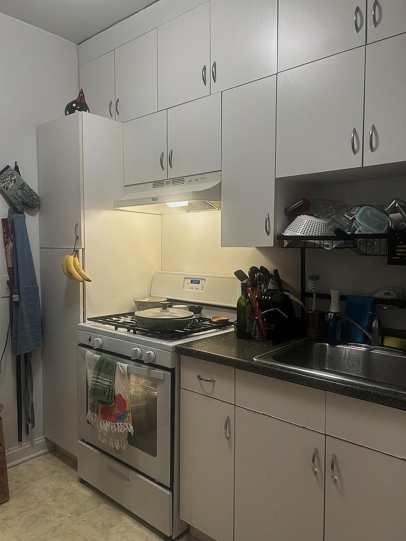 709 W Cornelia Avenue – photo 1