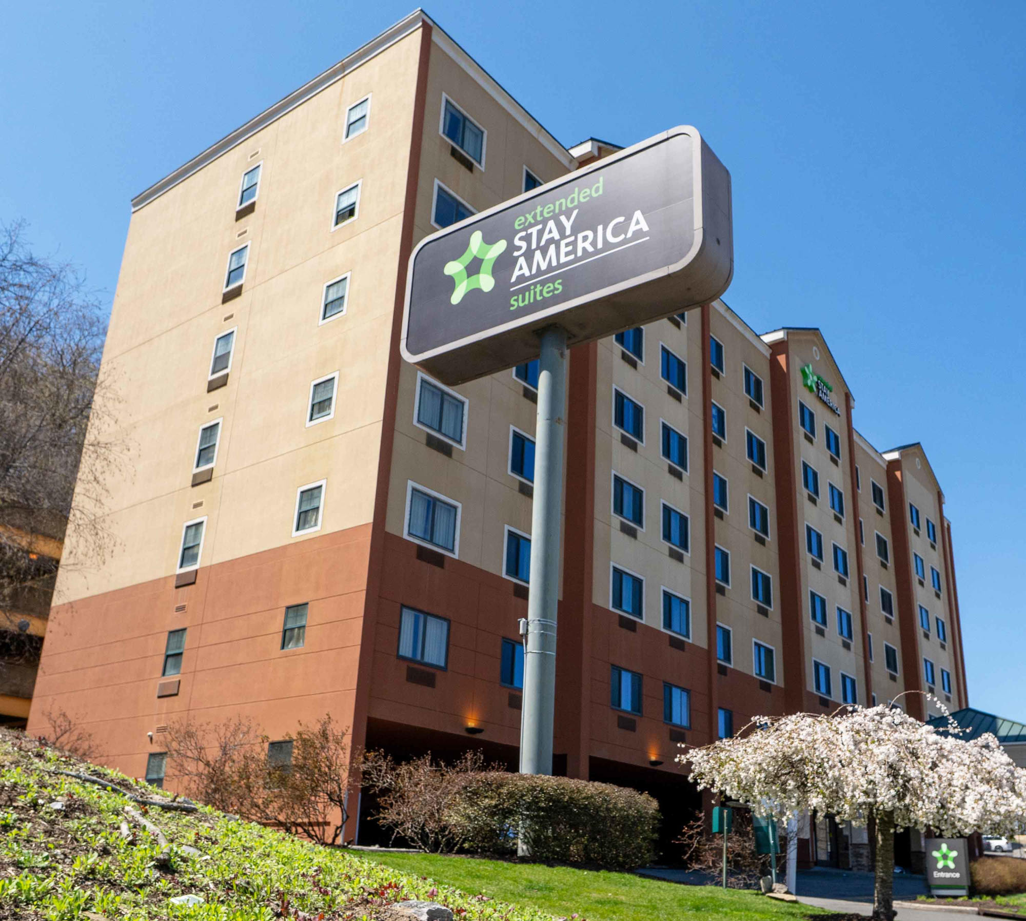 White Plains – photo 2