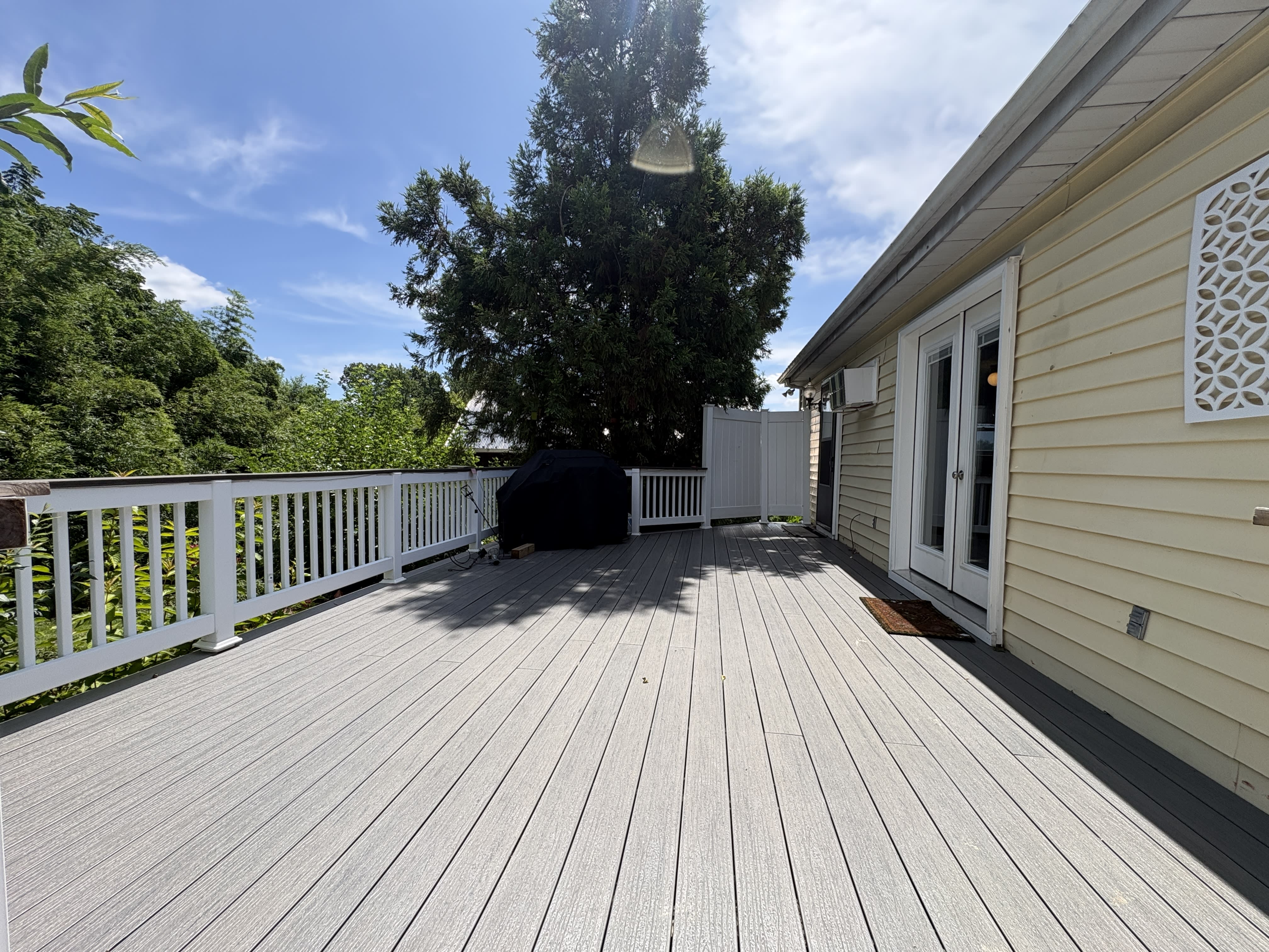155 Moran Ln – photo 4