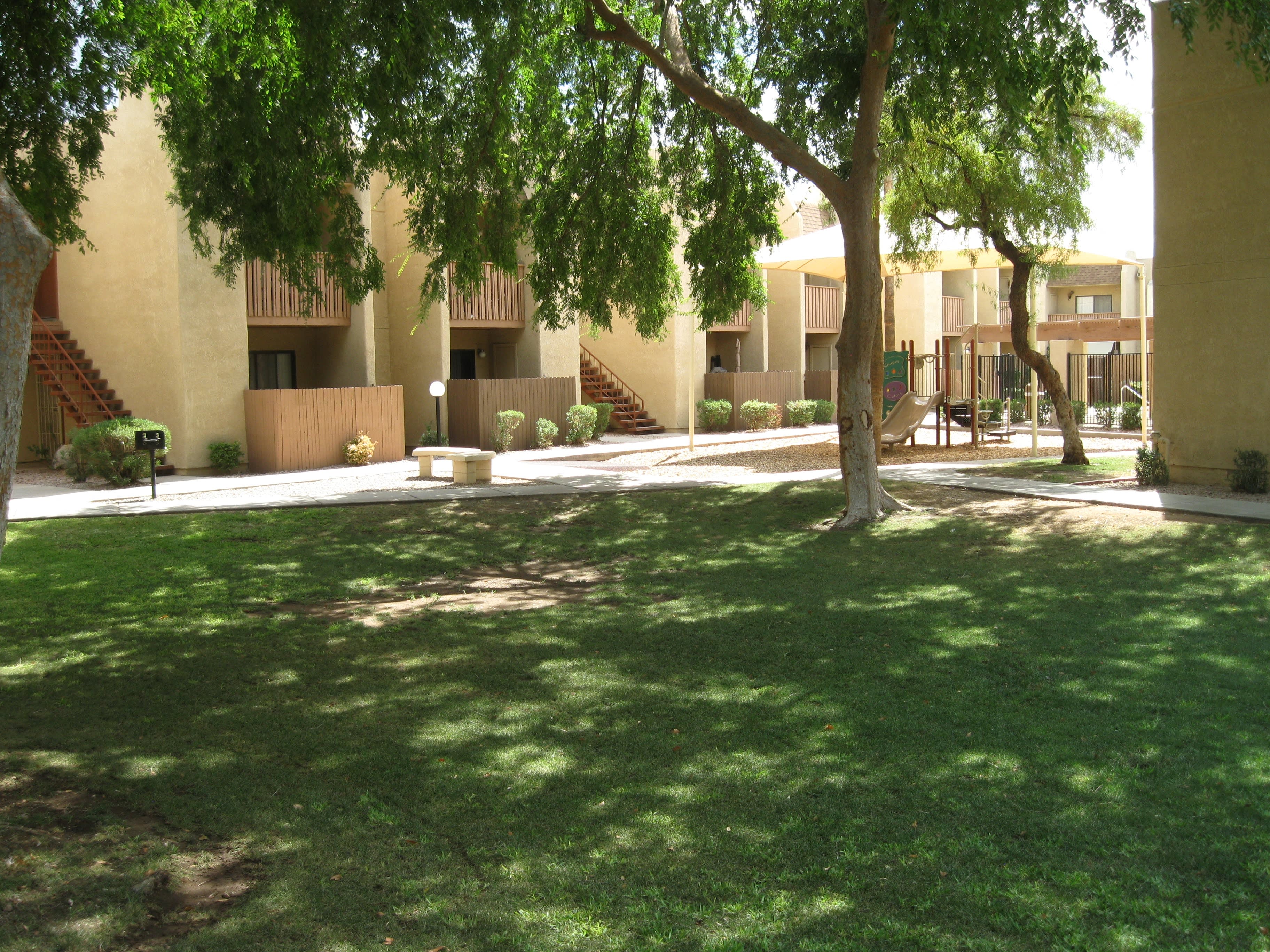 Desert Meadows – photo 3