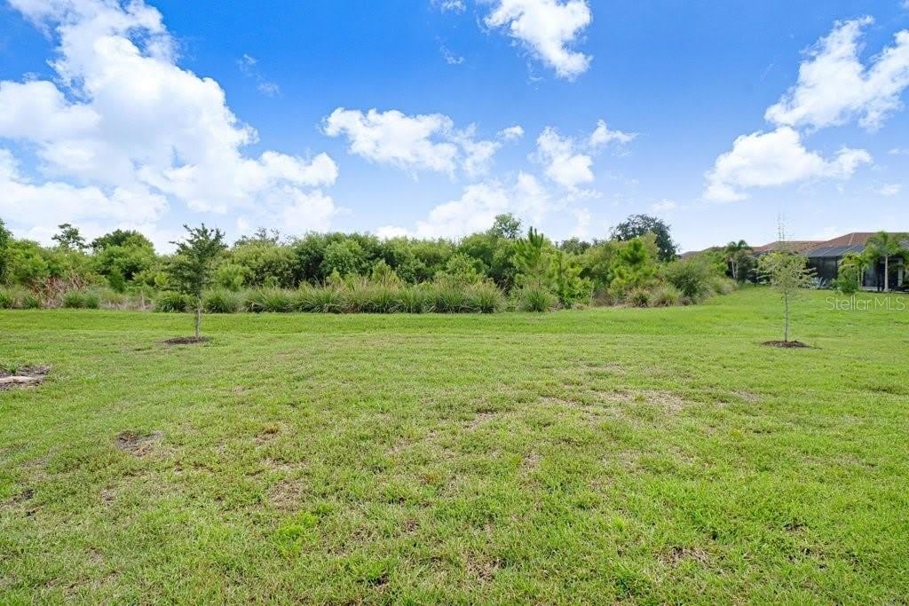 4911 Caserta Court – photo 4