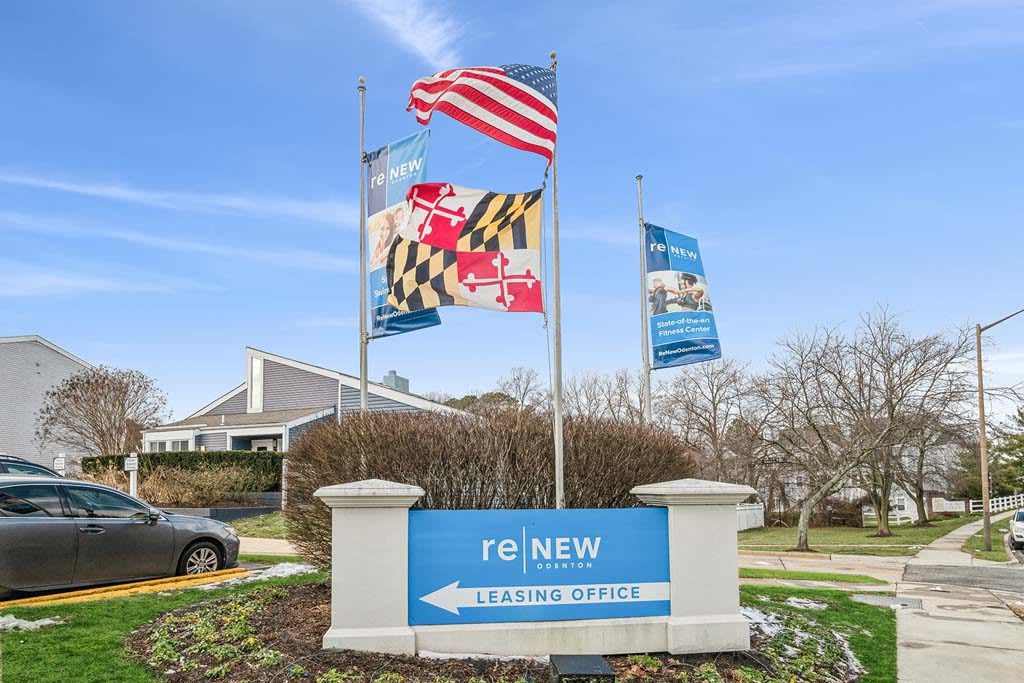 ReNew Odenton – photo 2
