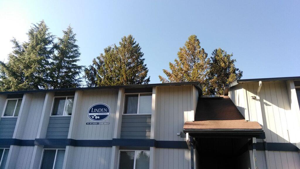 Linden Apartments – photo 1