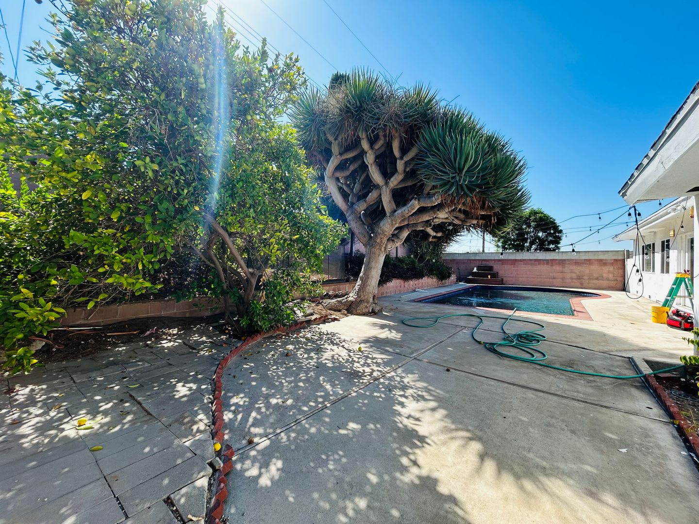 Spacious Four Bedroom Home In Ladera Heights – photo 3