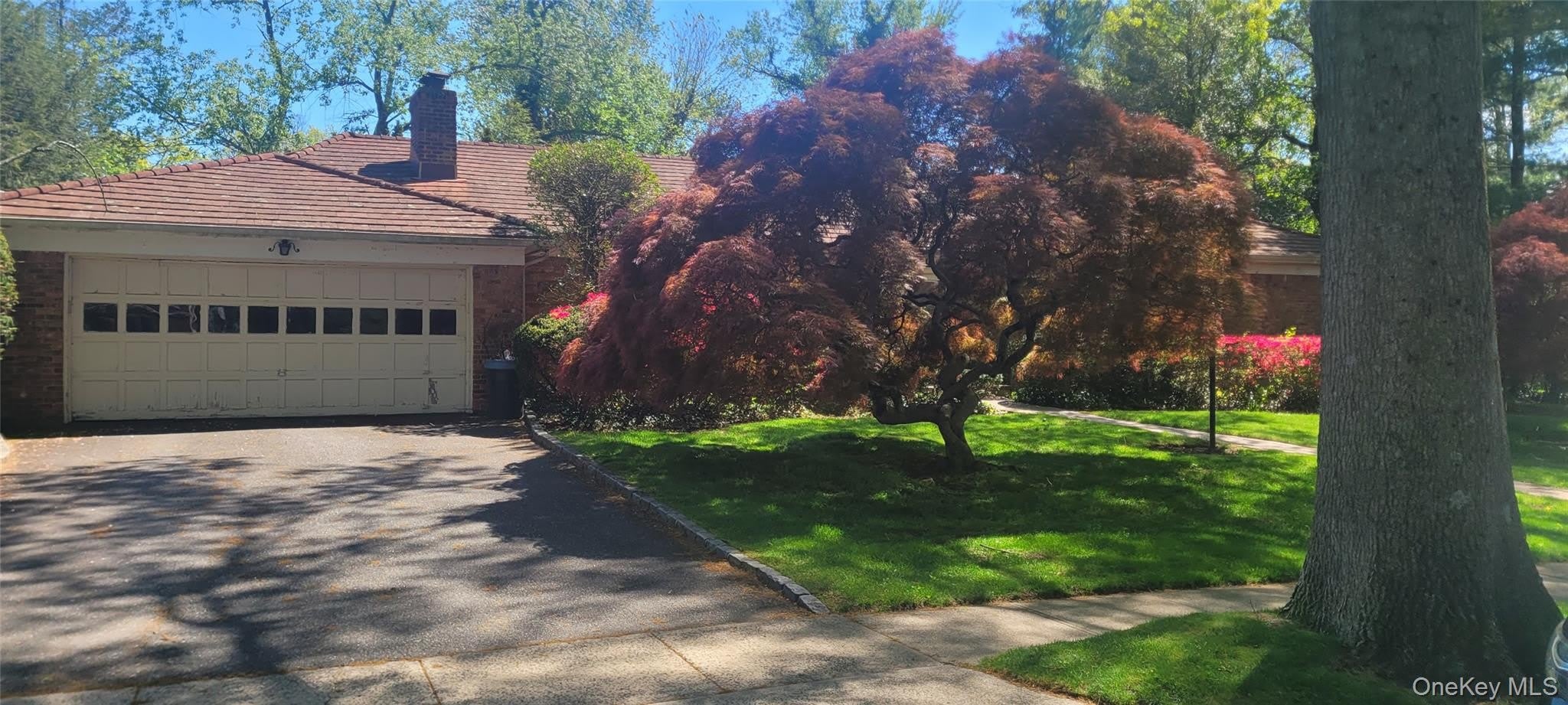 15 Somerset Drive S – photo 3