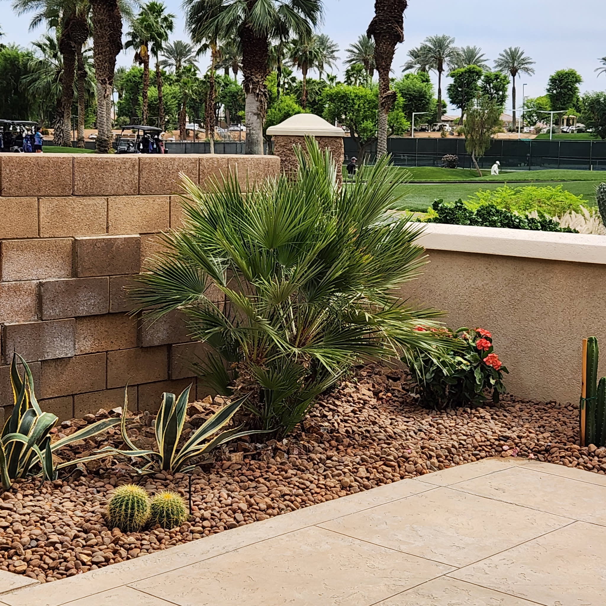 44010 Royal Troon Dr – photo 5