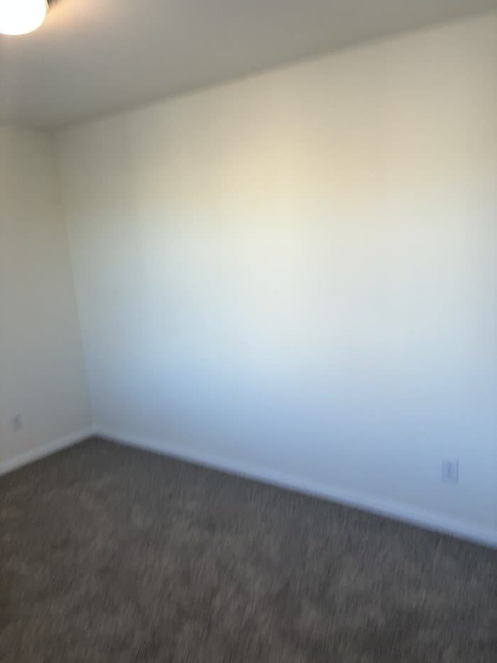 8074 Kings Guard Street – photo 3