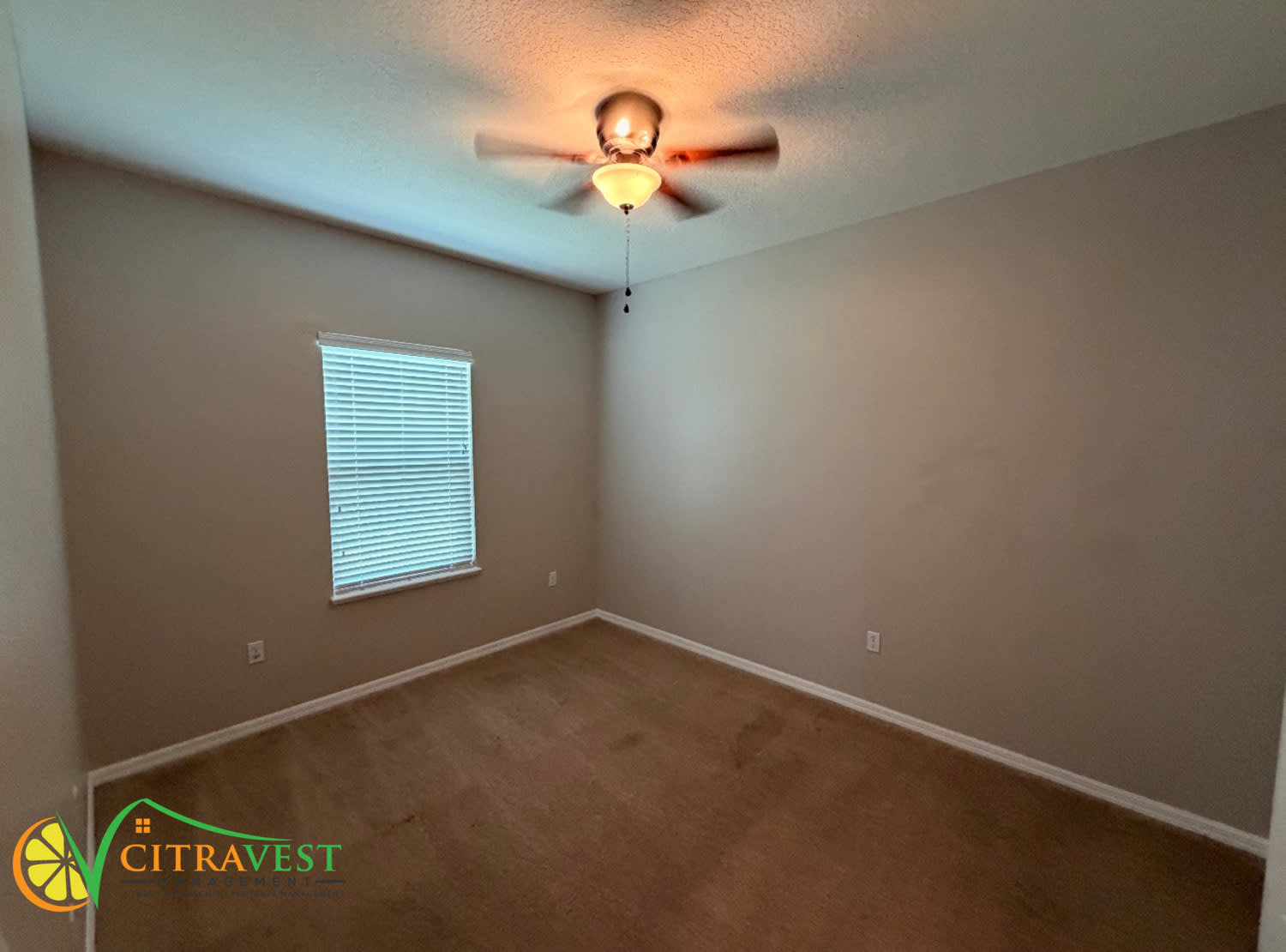 1154 Democracy Dr – photo 5