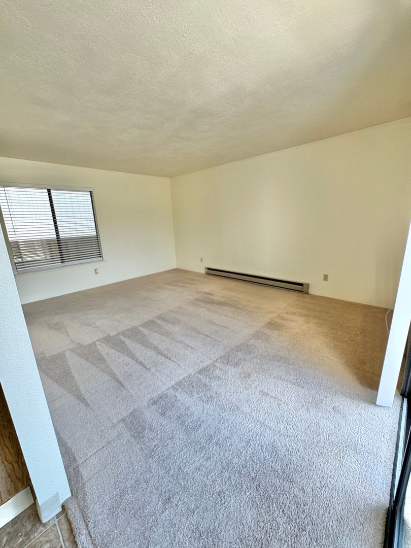 Great 1 bedroom condo just off Clear Acre Lane – photo 5