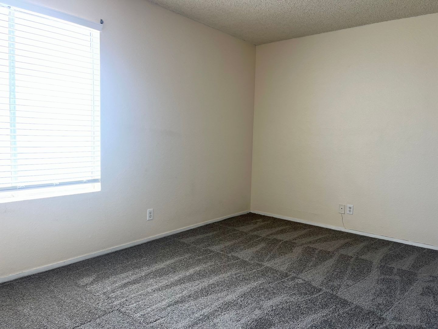 Upper Unit – photo 5
