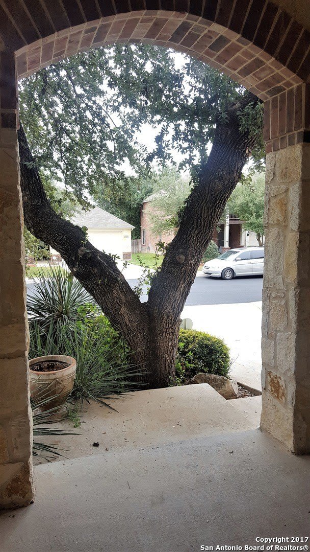 4426 James Bowie – photo 3