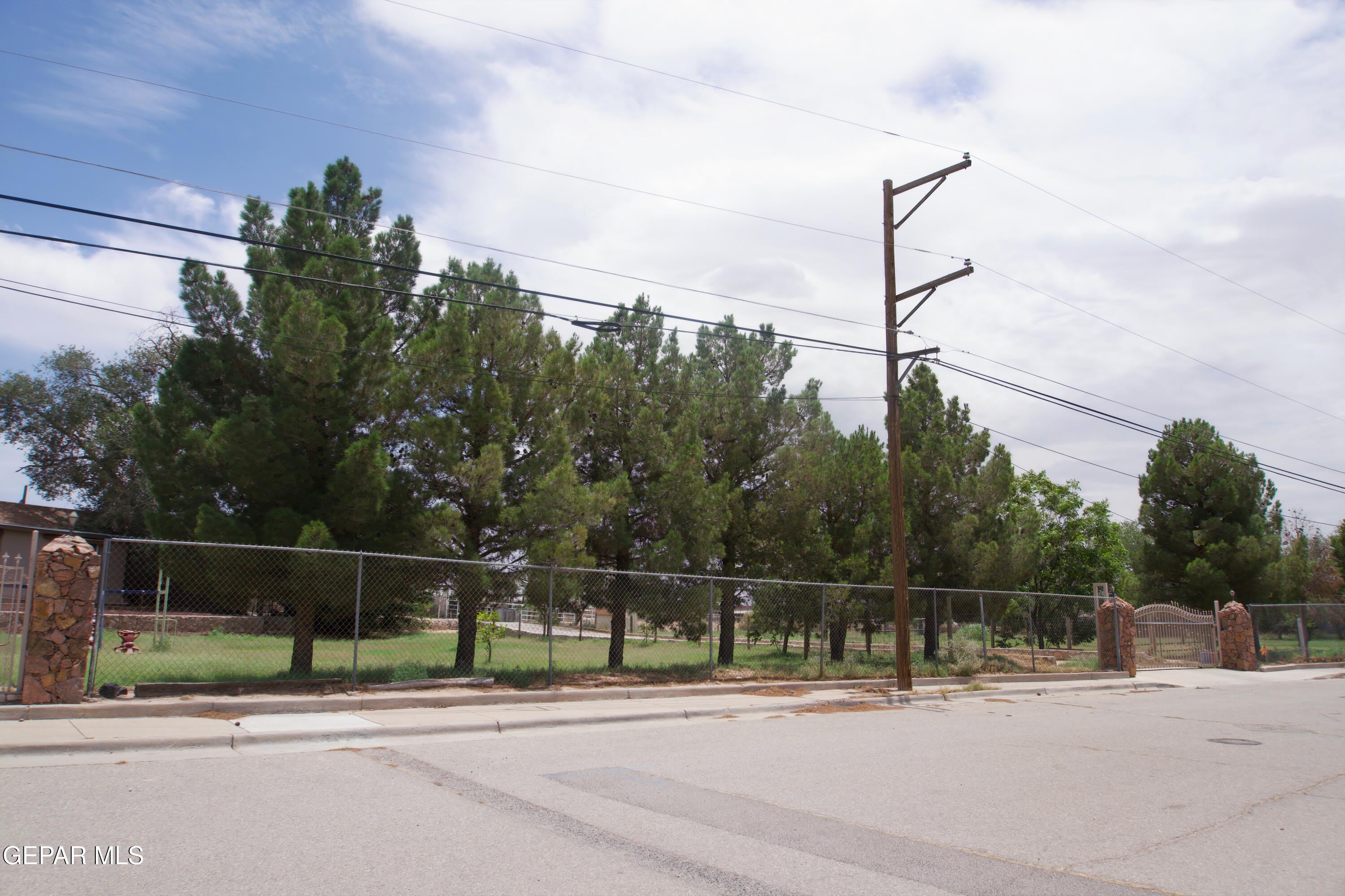 9401 PAVO Lane – photo 3
