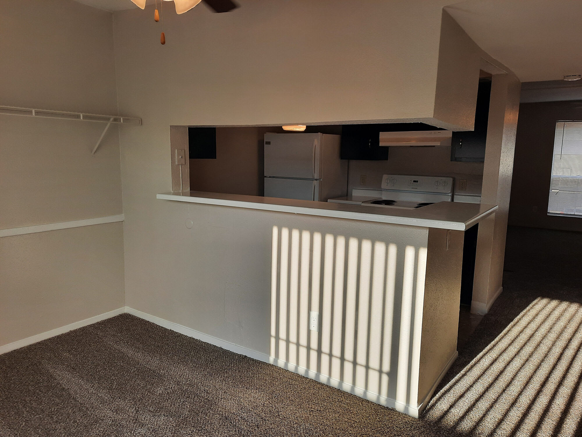 Pine Arbor – photo 4