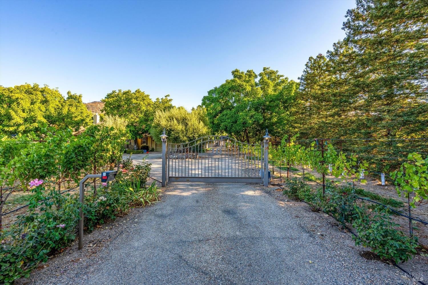 20 Rosedale Road – photo 2