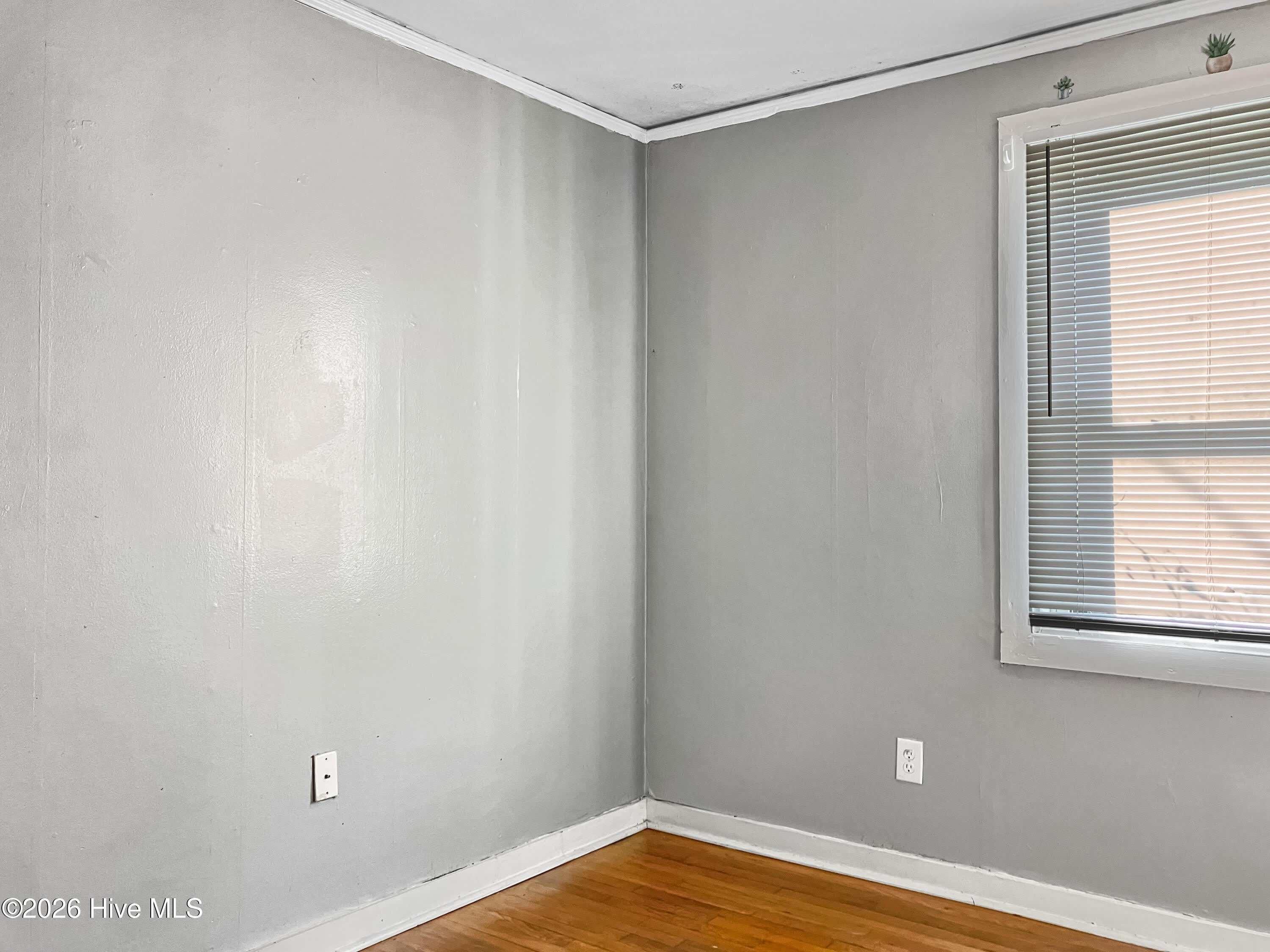 2475 Reese Avenue – photo 5