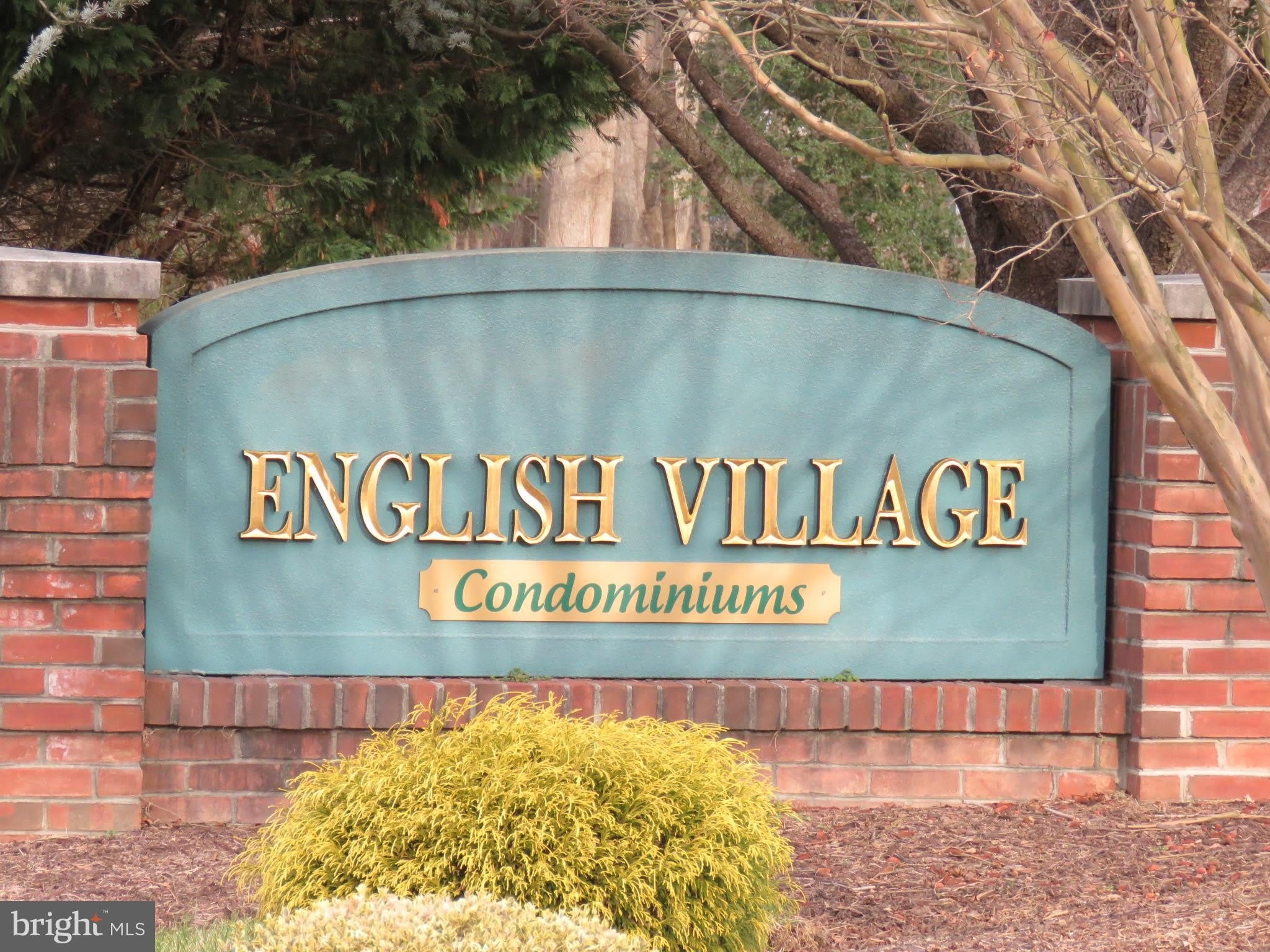 6 IVY HALL – photo 1
