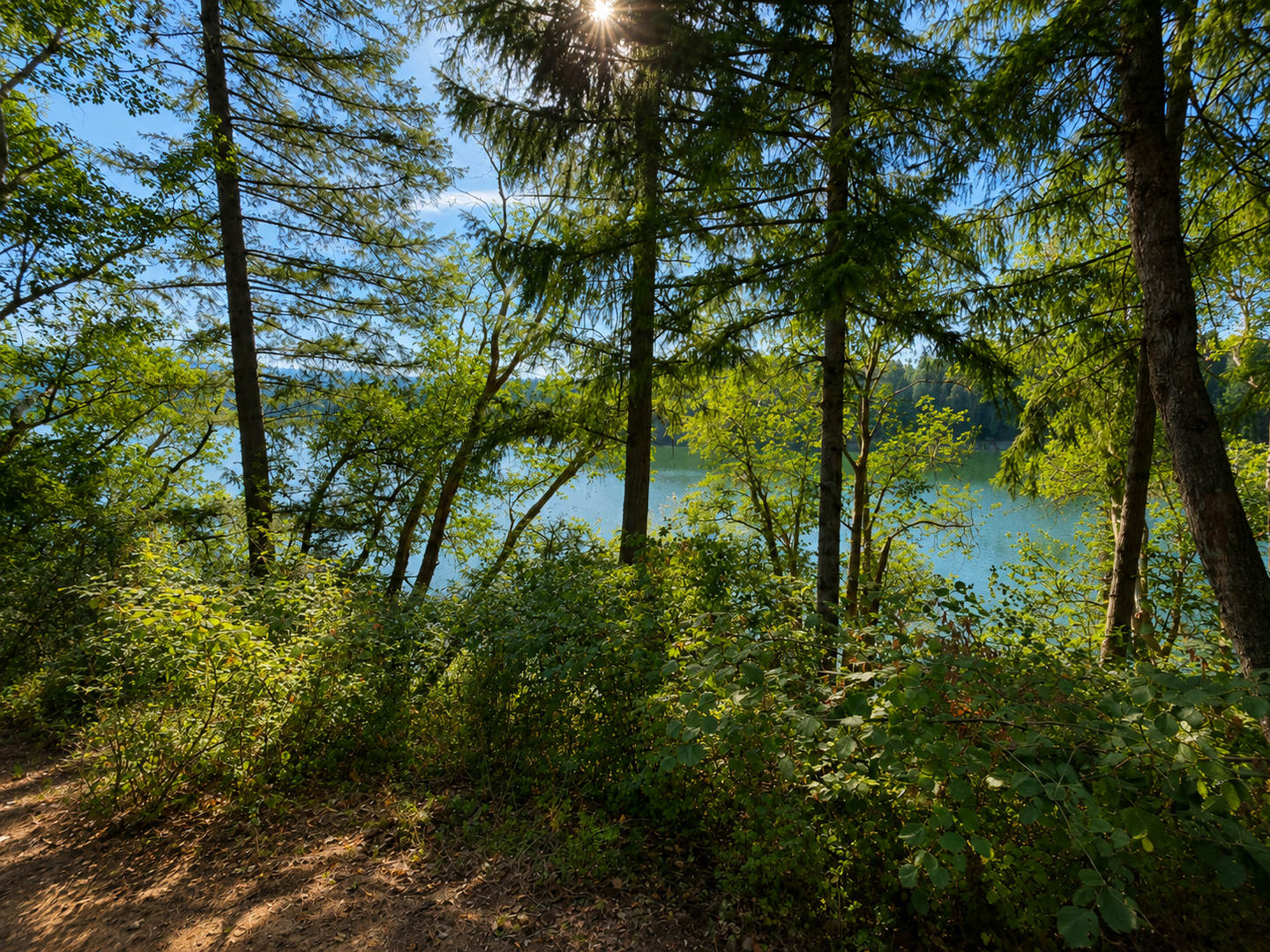 Renovated Clearwood Townhome with Lake Views – photo 5