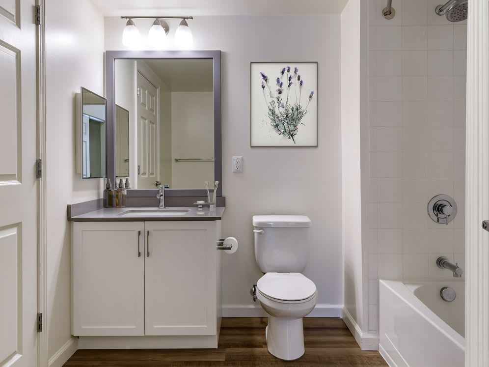 Avalon Natick – photo 5