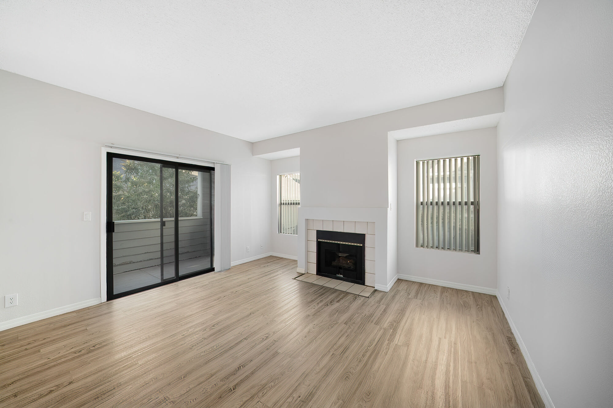 Bristle Pointe – photo 3