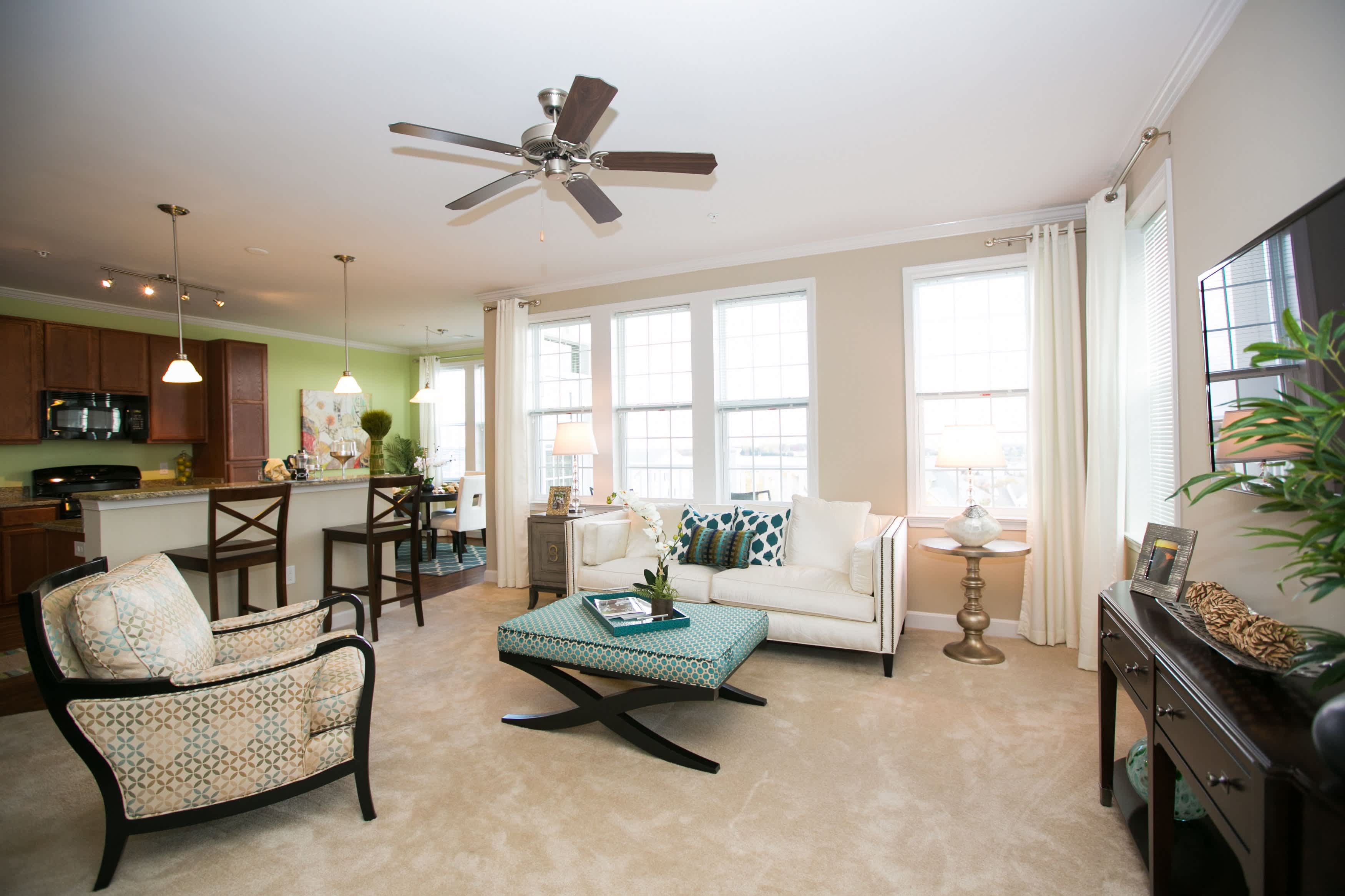 Vista View – photo 4