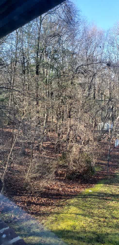 65 Newman Road – photo 1