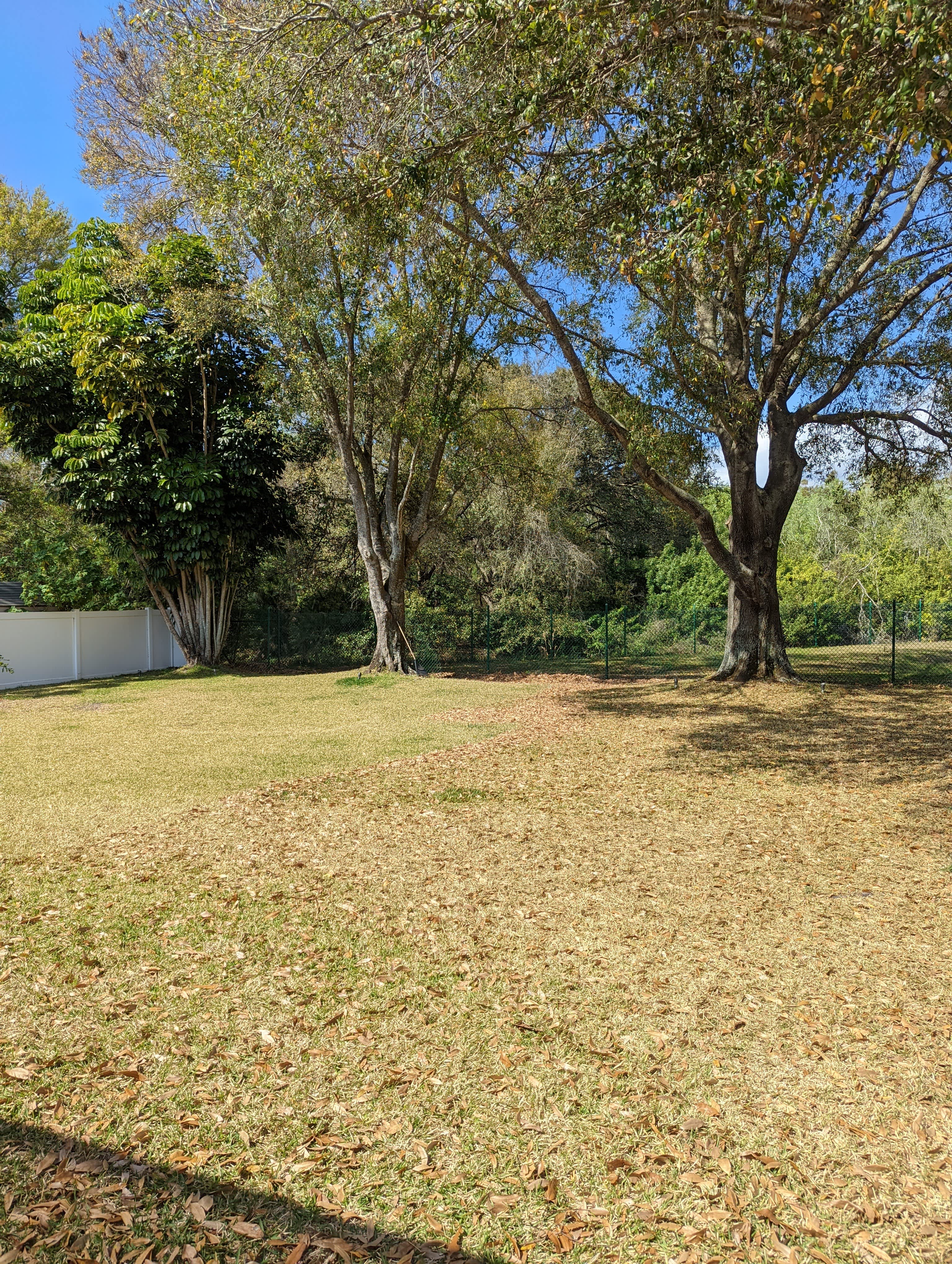 507 Arlington Avenue East – photo 4