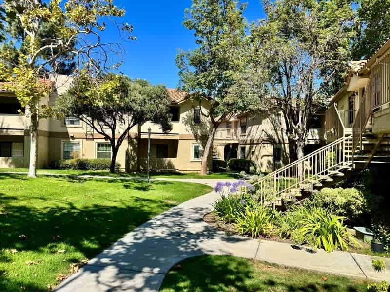 10305 Azuaga Street – photo 2