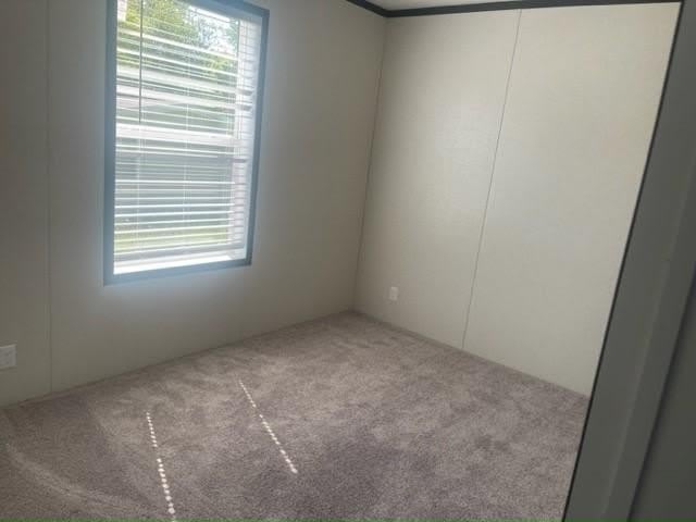 277 Mallard Lane – photo 5