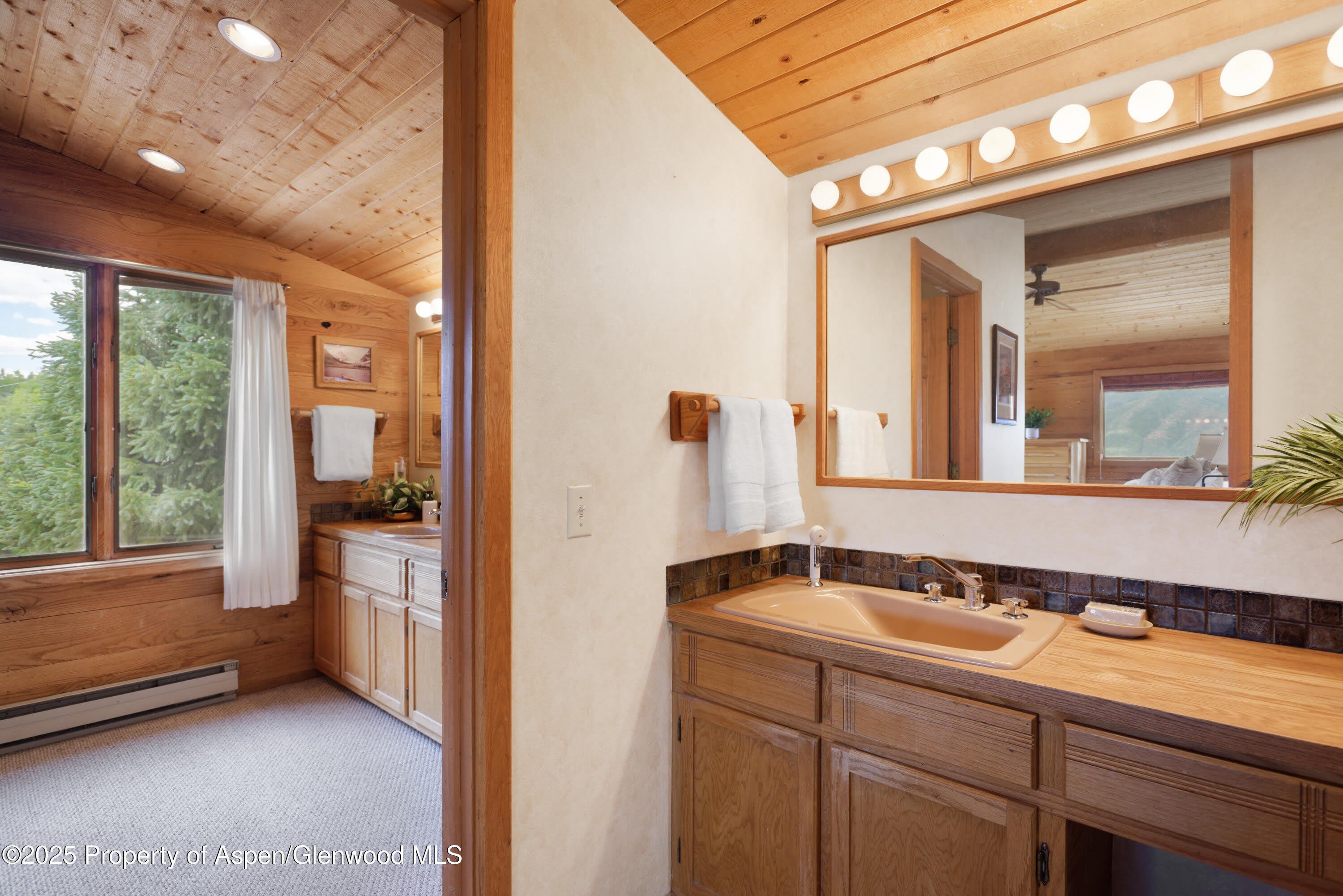 2020 Juniper Hill Drive – photo 5