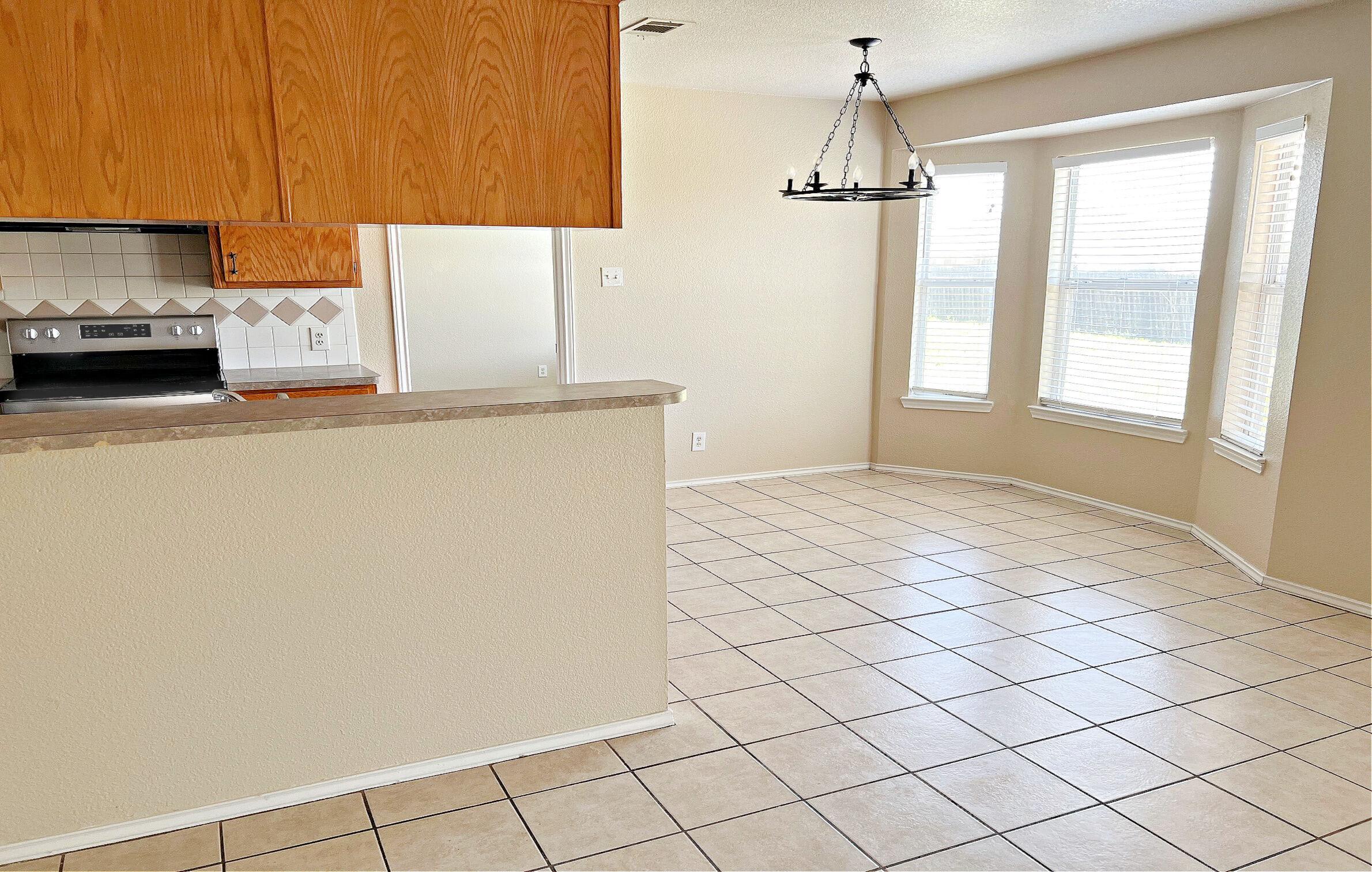 4203 Lonesome Dove Drive – photo 5