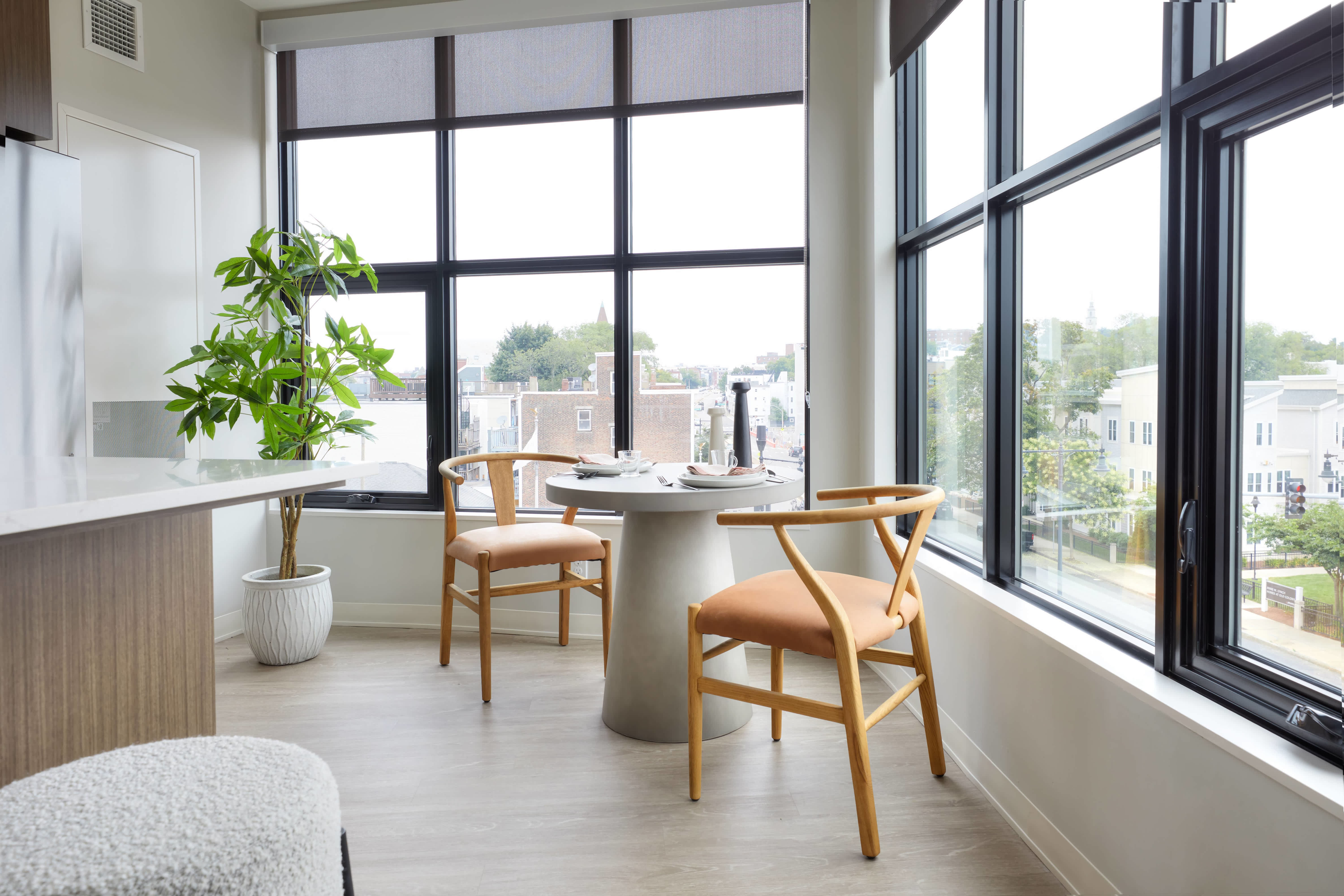 South Standard – photo 4