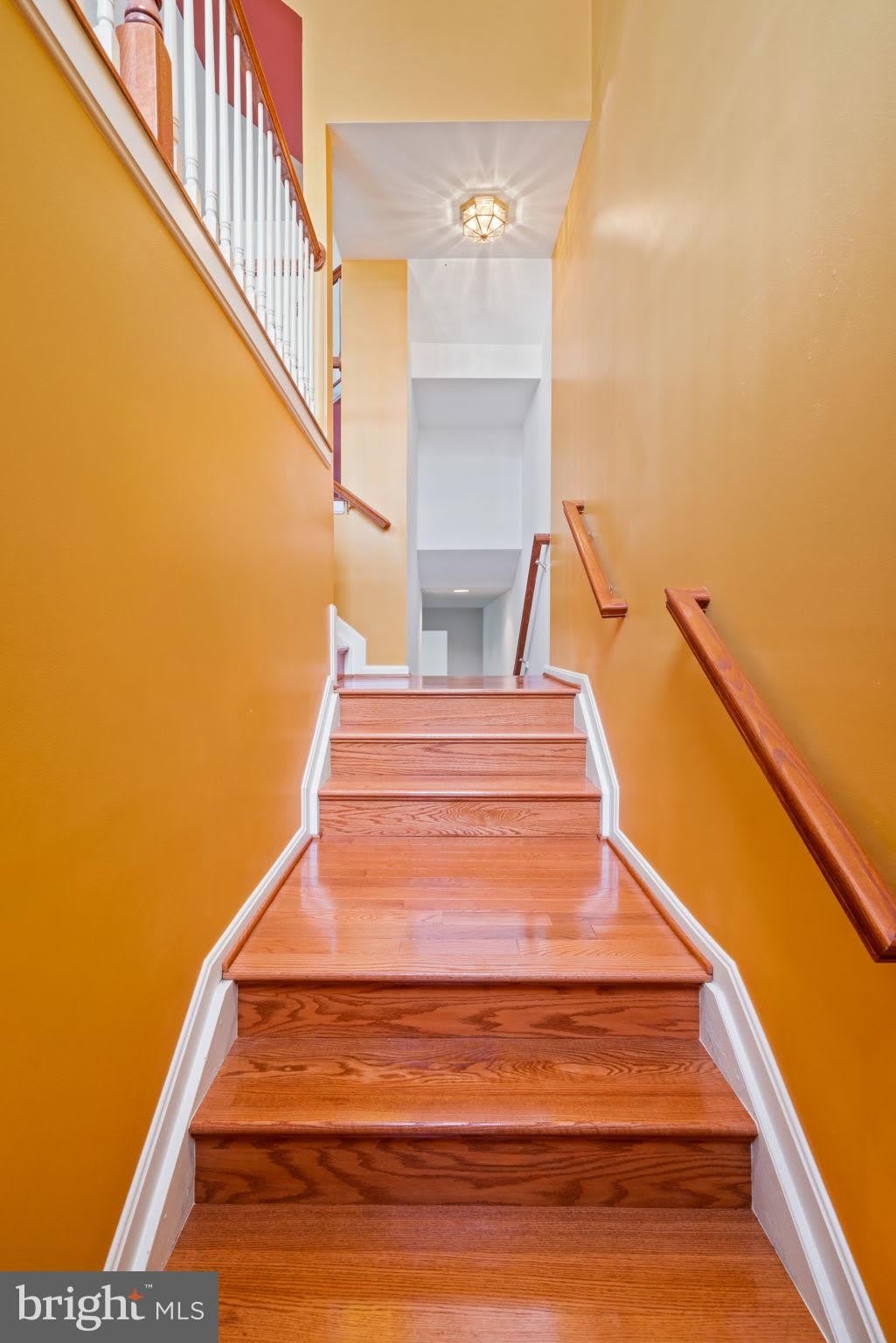 9023 Brewer Creek Place – photo 3