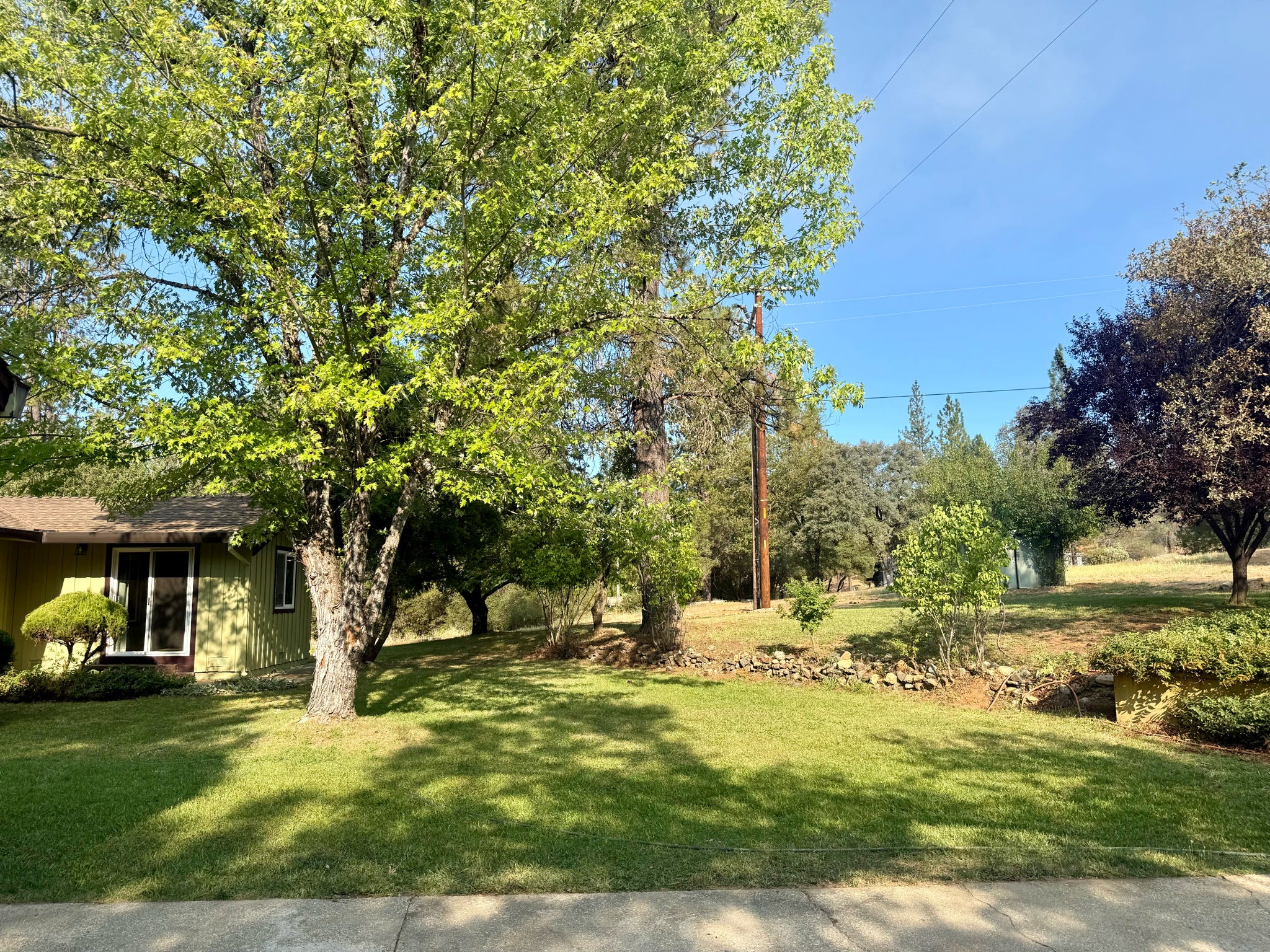 10070 Garesio Ranch Ln – photo 3