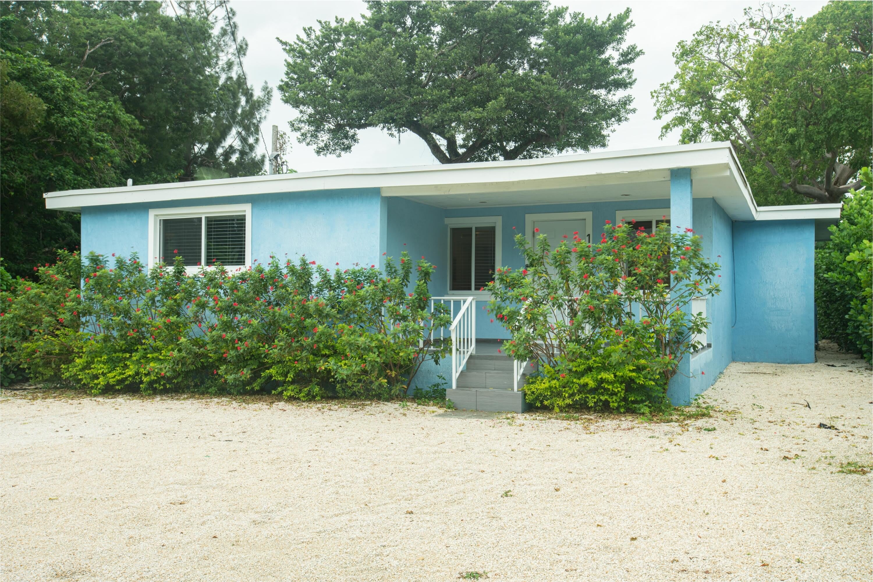 11 Judy Place – photo 1