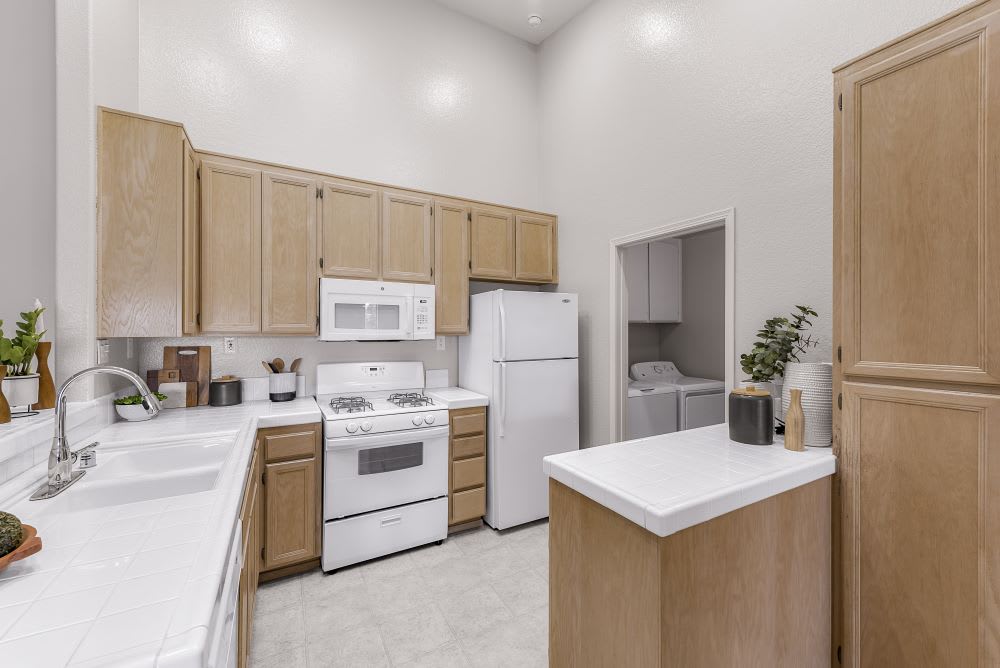 Sofi Canyon Hills – photo 5
