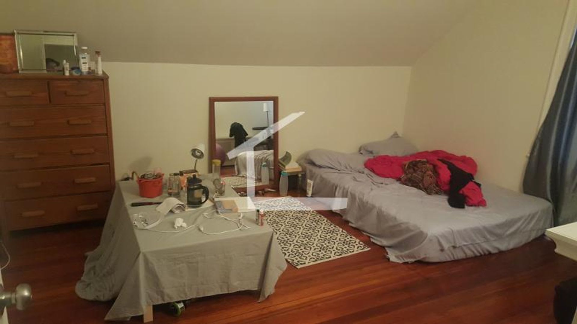 Beautiful 3 Bed/ 1 Bath Available 9/1/26 – photo 3