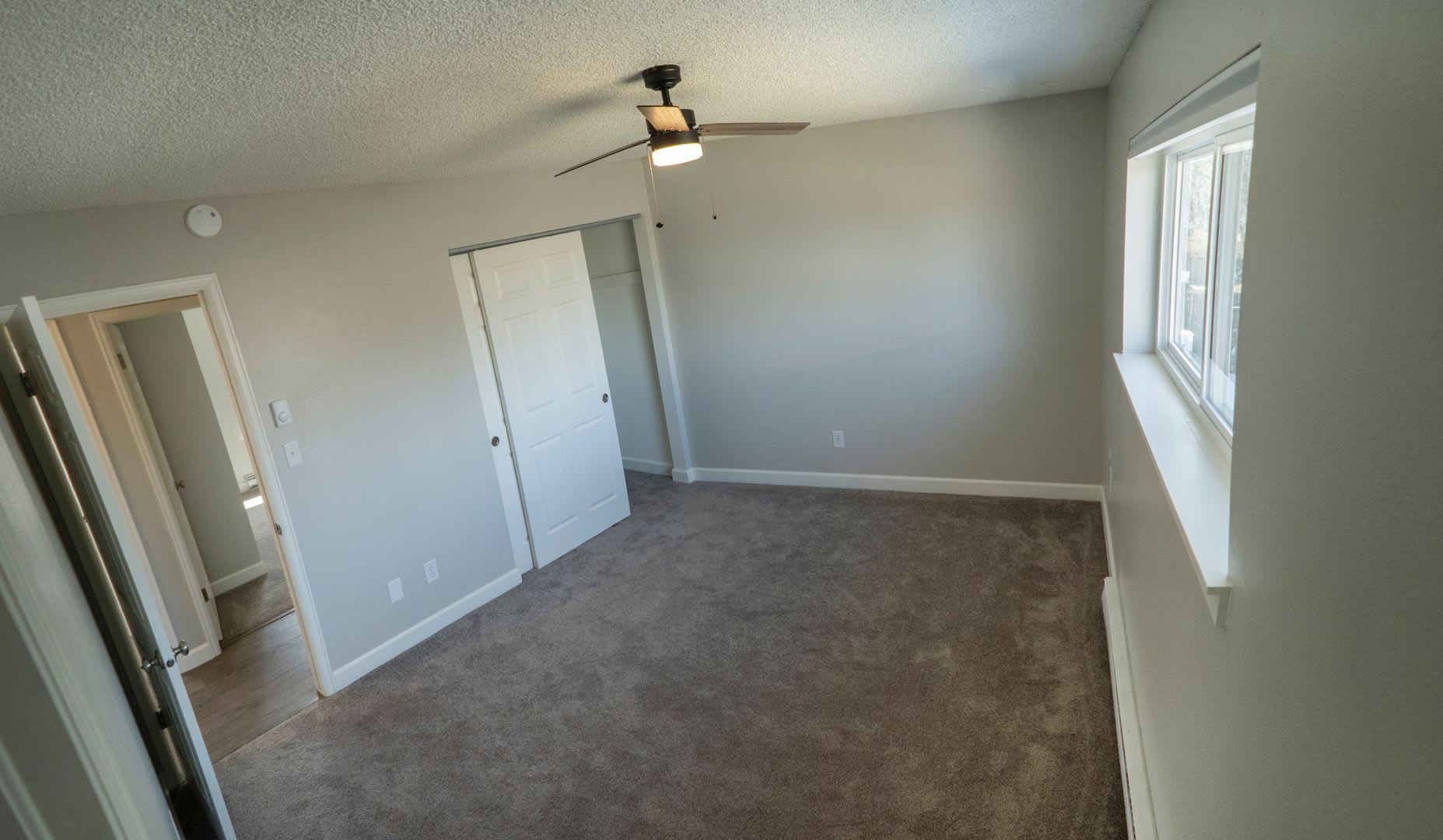 Beautifully Updated 4B/2B in Central Fort Collins! Quiet Neighborhood! – photo 4