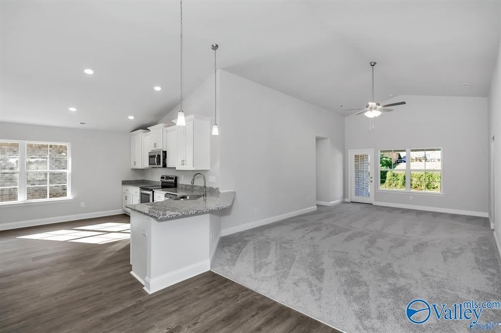 219 Alonzo Toney Drive – photo 4