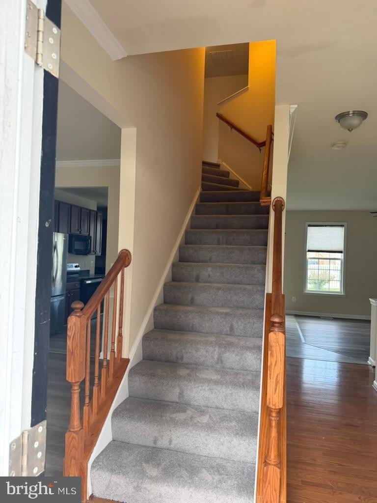 1231 STALLION Street – photo 2