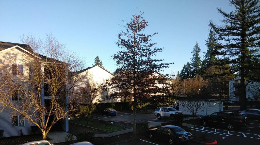 Foster Plaza – photo 5