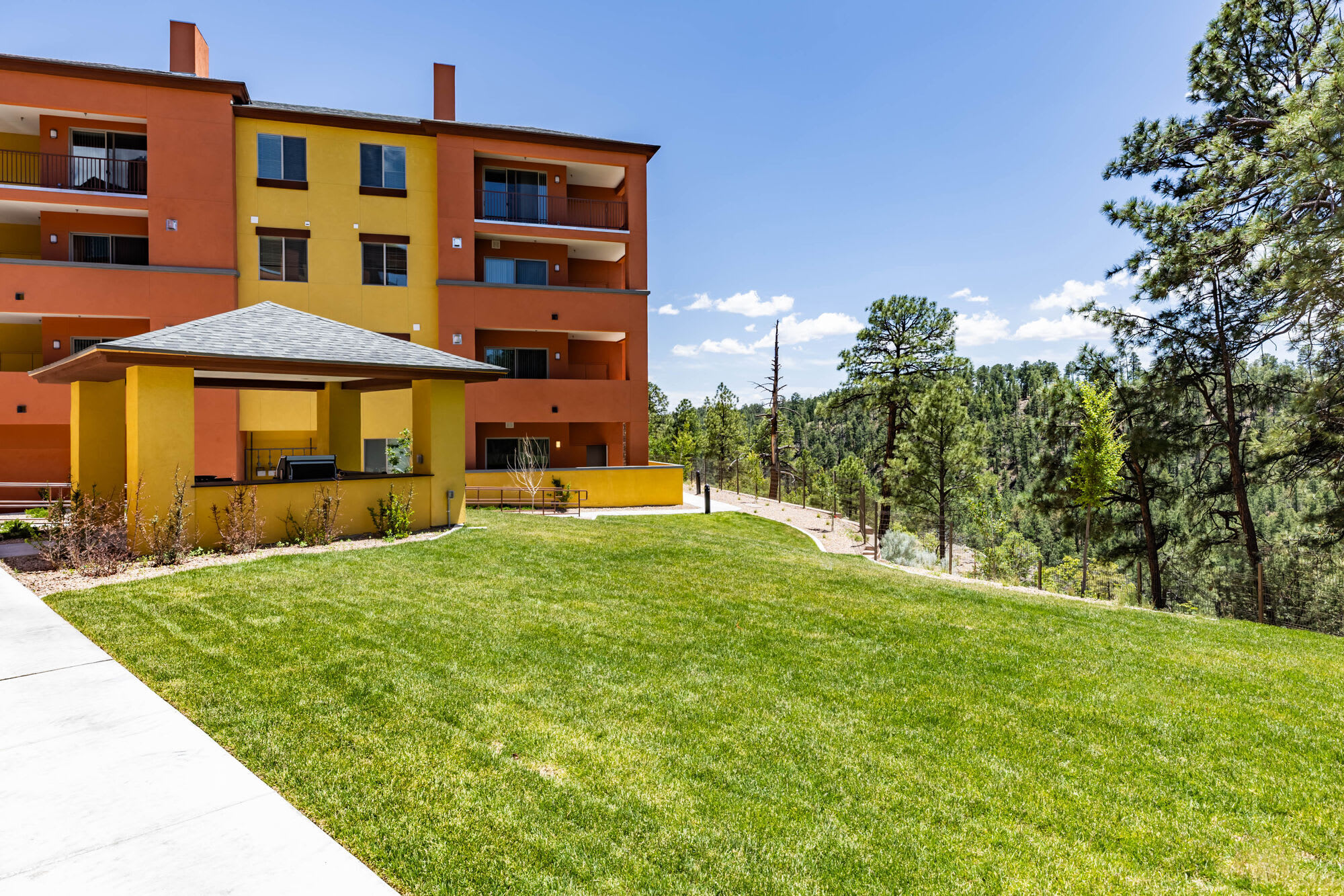 The Hill – photo 2