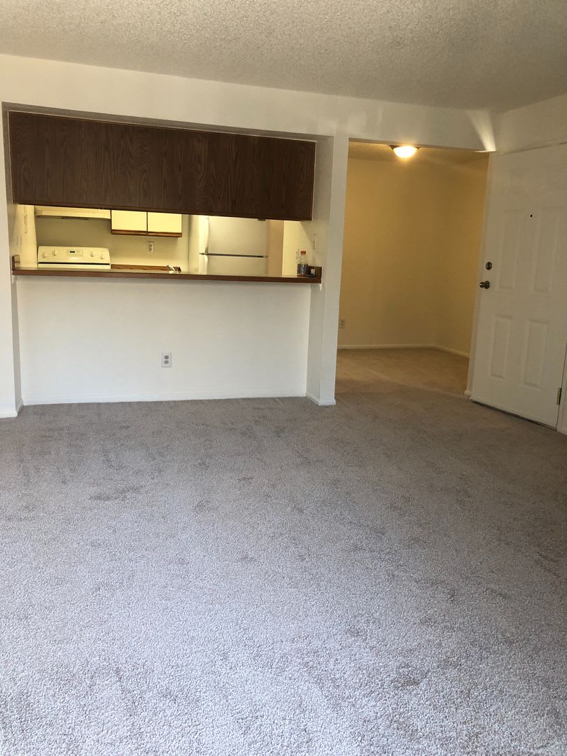 2 bed/2 bath condo in Arvada – photo 4