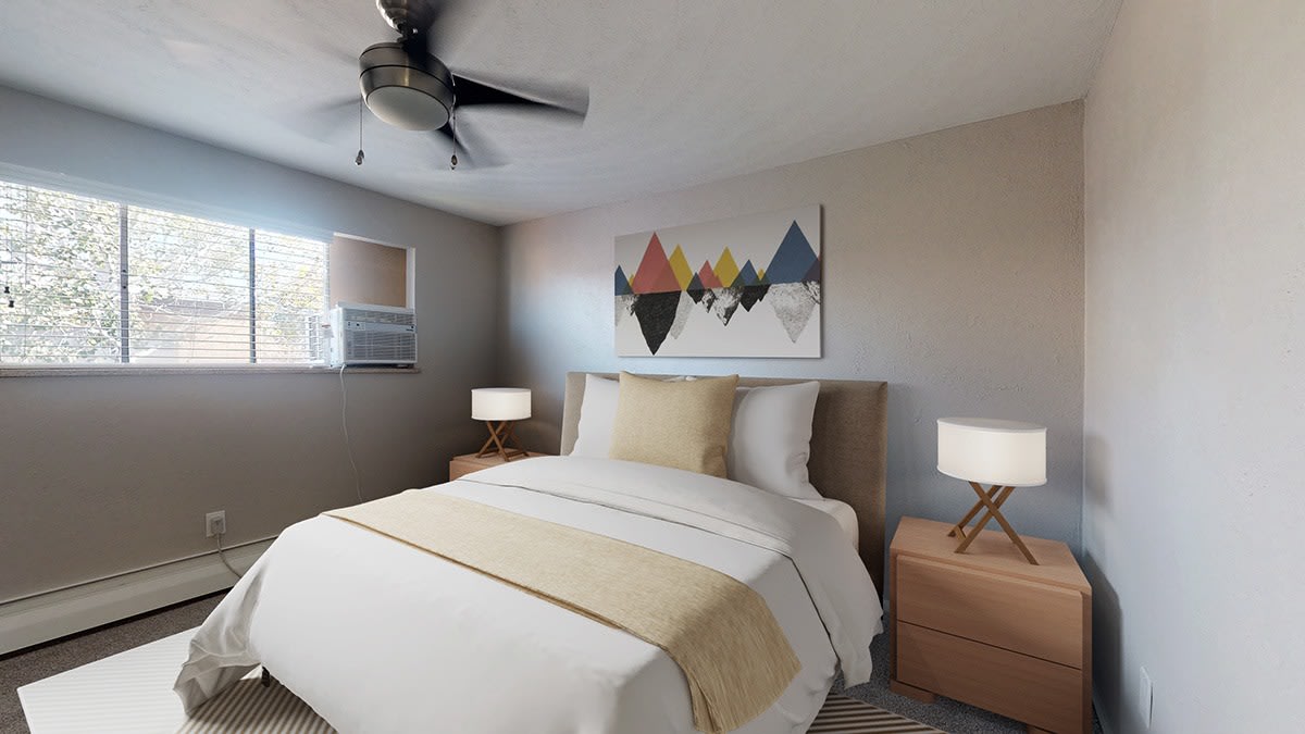Pioneer – photo 5